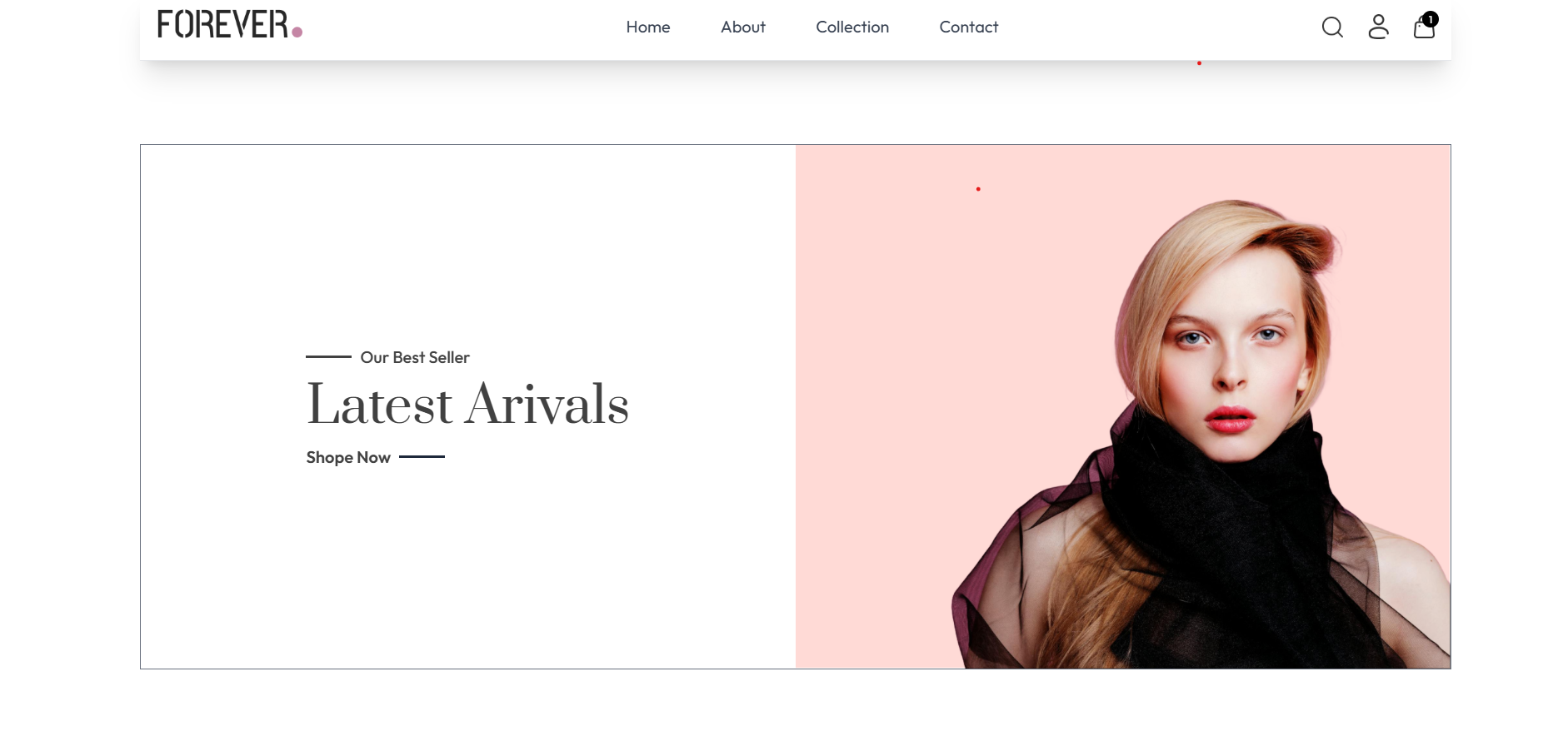 Forever Clothing project screenshot