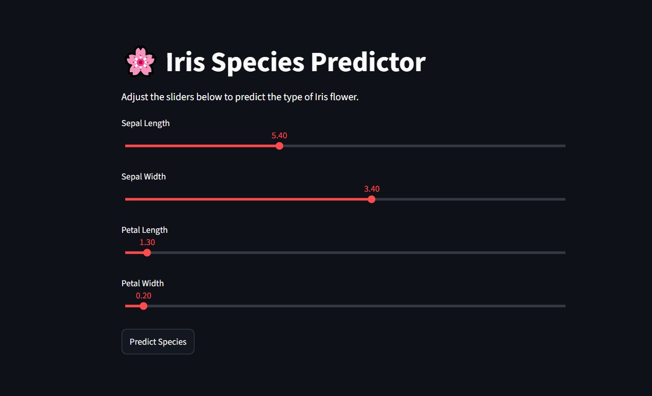 Iris Classifier project screenshot
